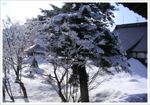 冬【雪景色】